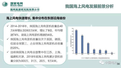 速看 国家电网2019新能源报告