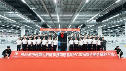 通威太阳能科技南通基地m1车间首件组件顺利下线